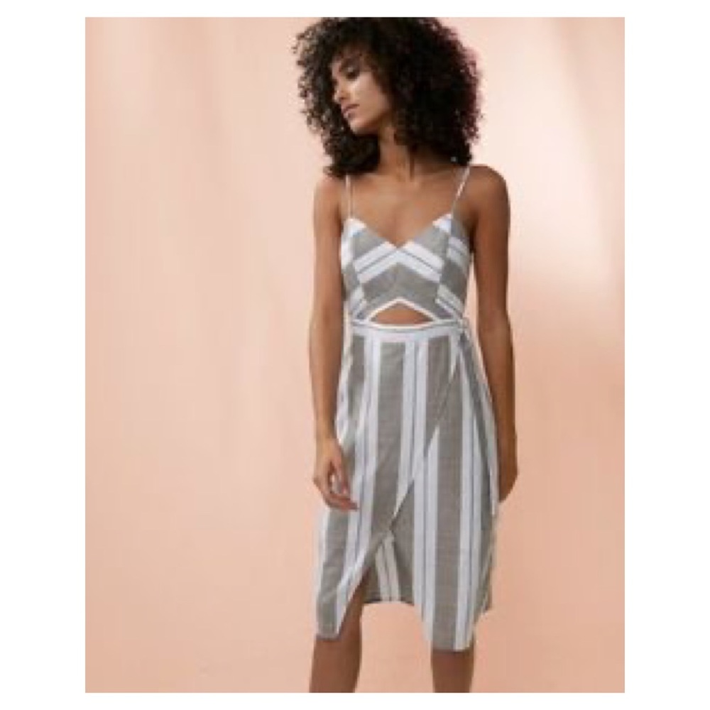 NWT Express Spring Dress